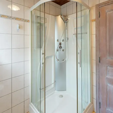 Magnificent In With Sauna Roofed Villa Brisy