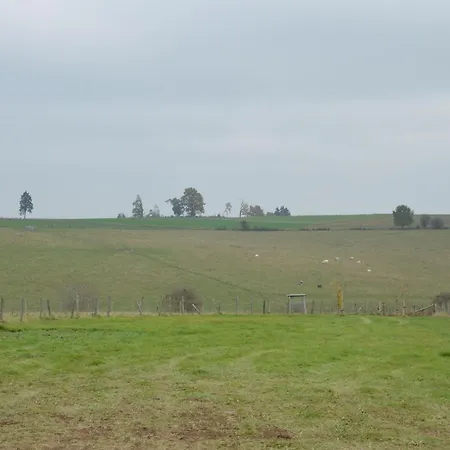 Magnificent In With Sauna Roofed